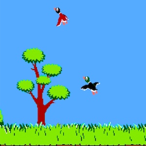 Duck Hunt (With Custom Level Creator)
