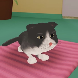 PET SHELTER