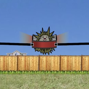 hedgehog launch