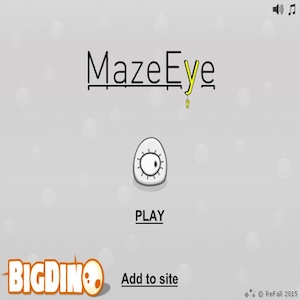 MazeEye